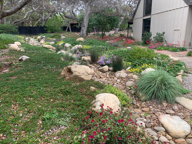A house with a front garden of plants that work well in California.