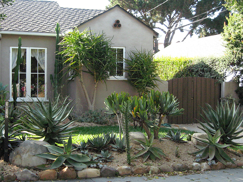 California front yard featuring a rock garden with succulents.